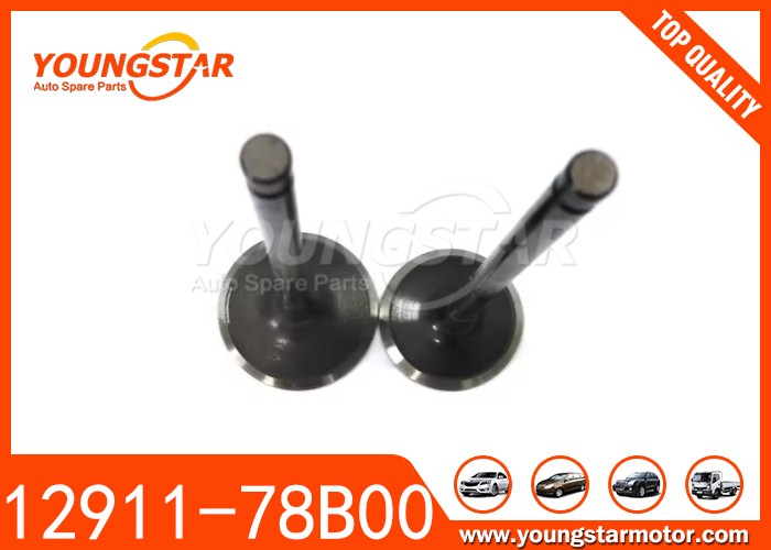 Válvula del motor para Daewoo MATIZ TICO F8C