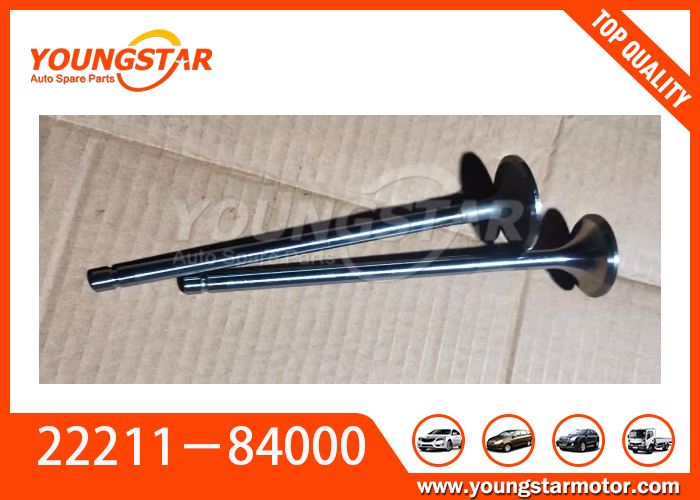 High Hardness Heat Resistant Engine Valve for Hyundai D6CA with Long Service Life