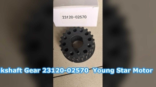 Engranaje de correa de piñón de cigüeñal Hyundai Getz 23120-02570 YOUNG STAR MOTOR