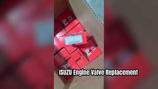 Reemplazo de la válvula 0114 0279 del motor ISUZU 6BG1 6BD1